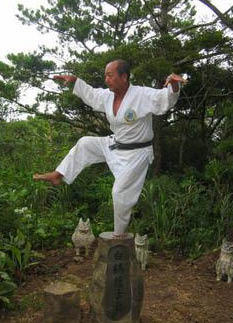 Yoshimitsu Akamine