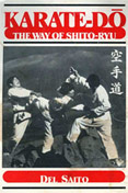 Del Saito Book Cover