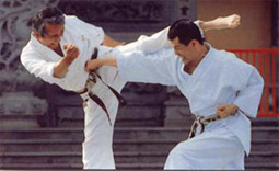 Kihon Ippon Kumite demonstration