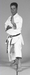Neko-ashi dachi stance