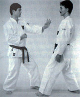 Shihan Keiji Tomiyama demo 1